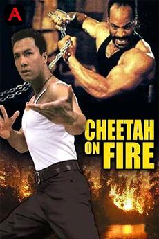 Cheetah On Fire(1992)