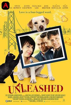 Unleashed(2016)