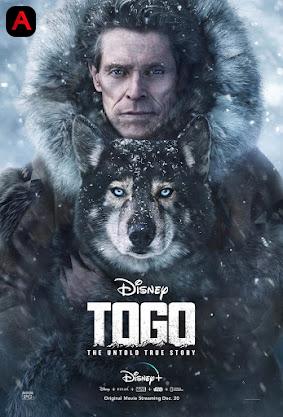 Togo(2019)