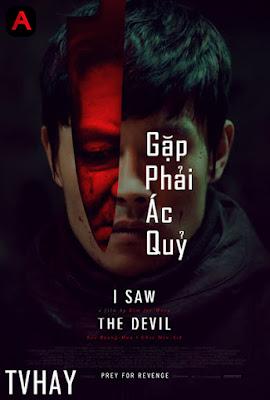  I Saw the Devil(2010)